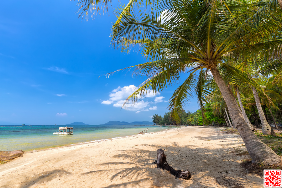 PHU QUOC DISCOVERY AND HISTORICAL INSIGHTS PRIVATE TOUR - 1 DAY - Image 3