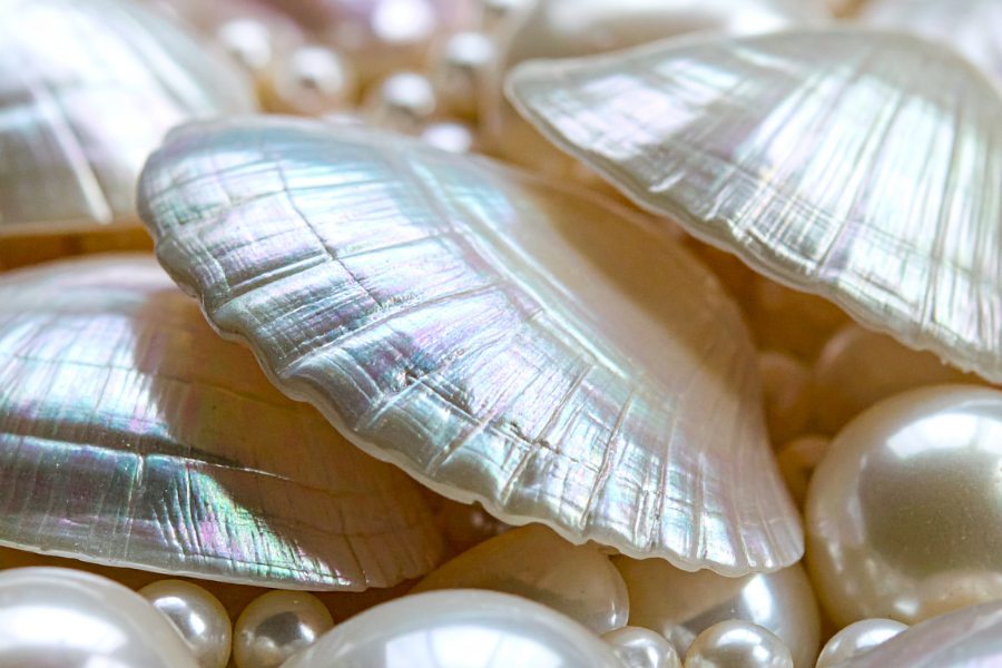 PHU QUOC DISCOVERY AND HISTORICAL INSIGHTS PRIVATE TOUR - 1 DAY - Image 10