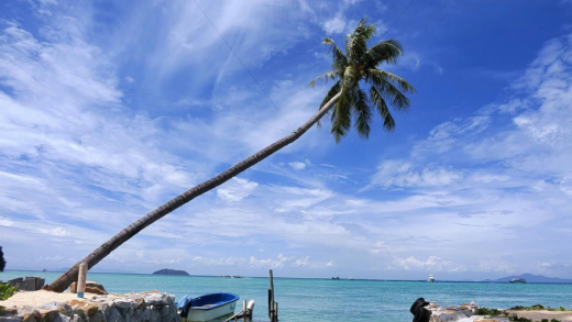 Cham island (Cu Lao Cham)- half day - join group tour