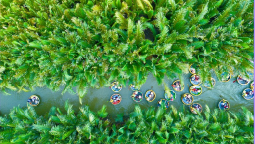 Bay Mau coconut forest & Hoi An ancient town- half day - join group tour