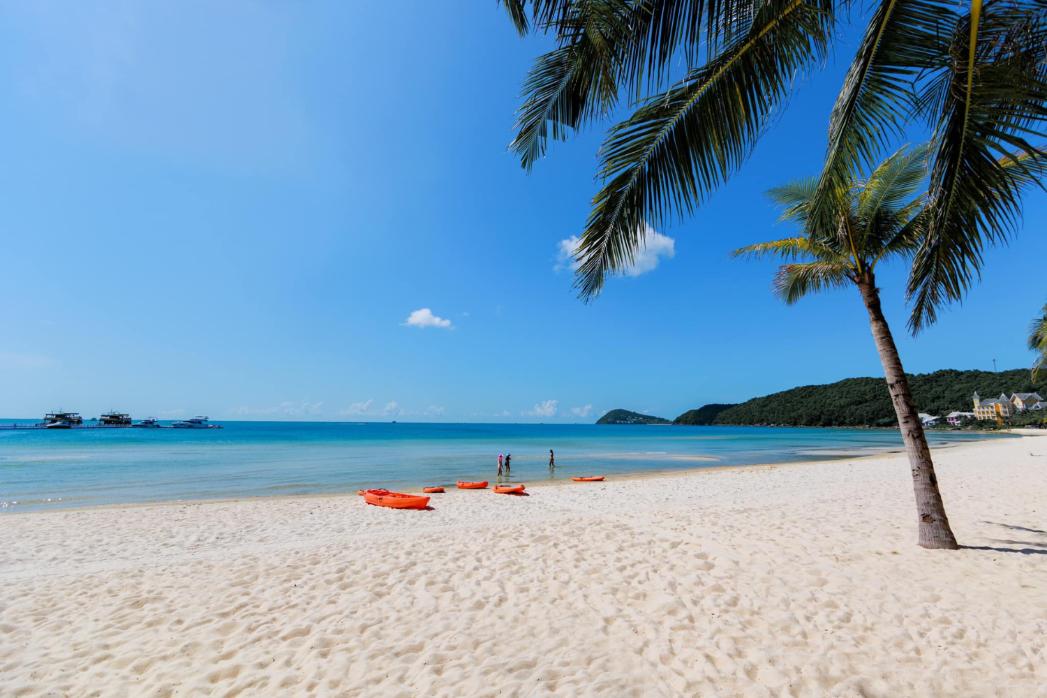 Phu Quoc Evening Wonders: Beach, Show, BBQ & Fireworks - 8 hours - join group tour - Image 3