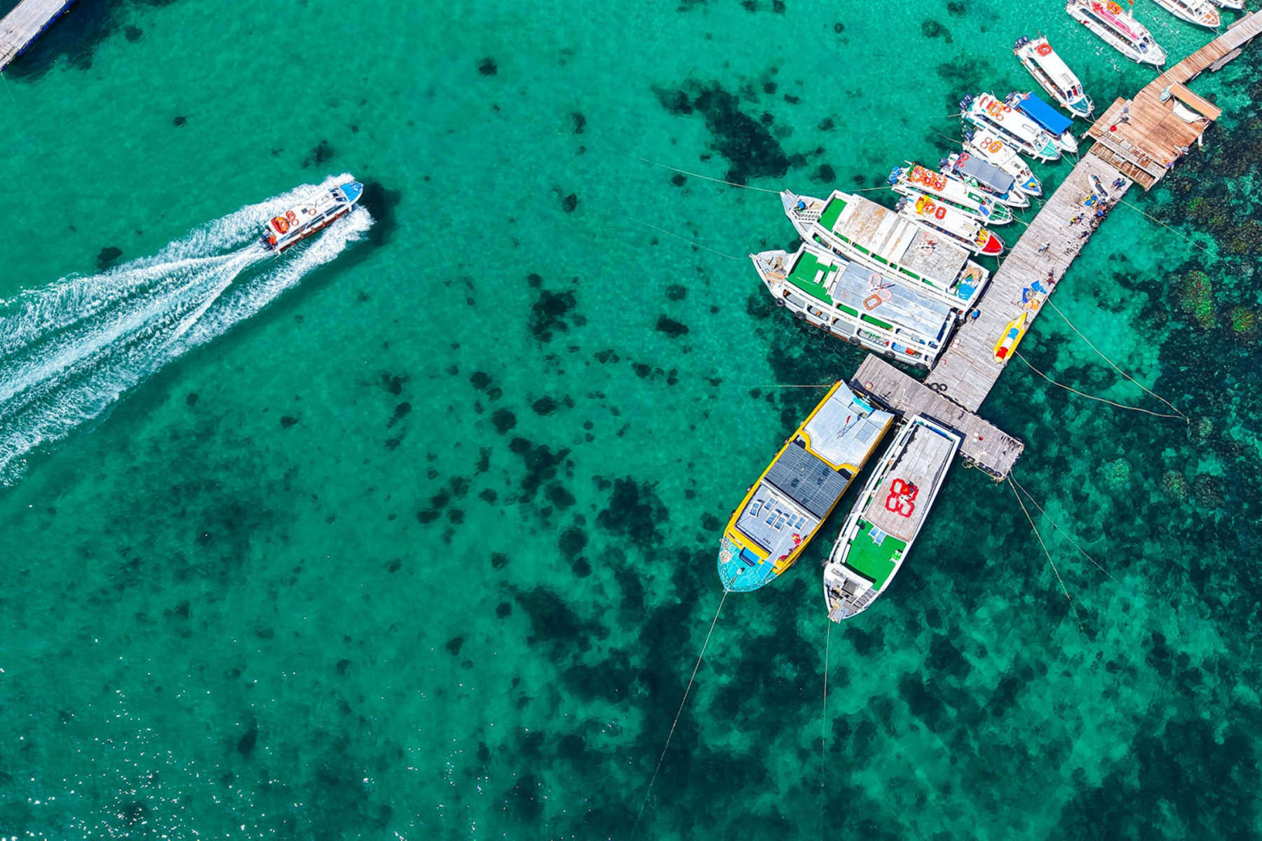 3 Islands By Speedboat - 1 day - join group tour - Image 3