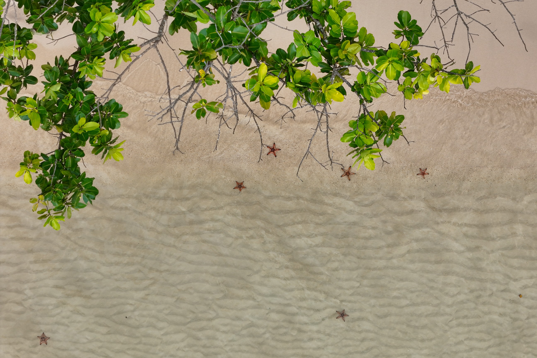 Rach Vem Fishing Village Tour - 1 day - join group tour - Image 4