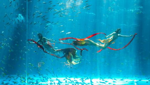 Discover VinWonders & Grand World - 1 day - join group tour