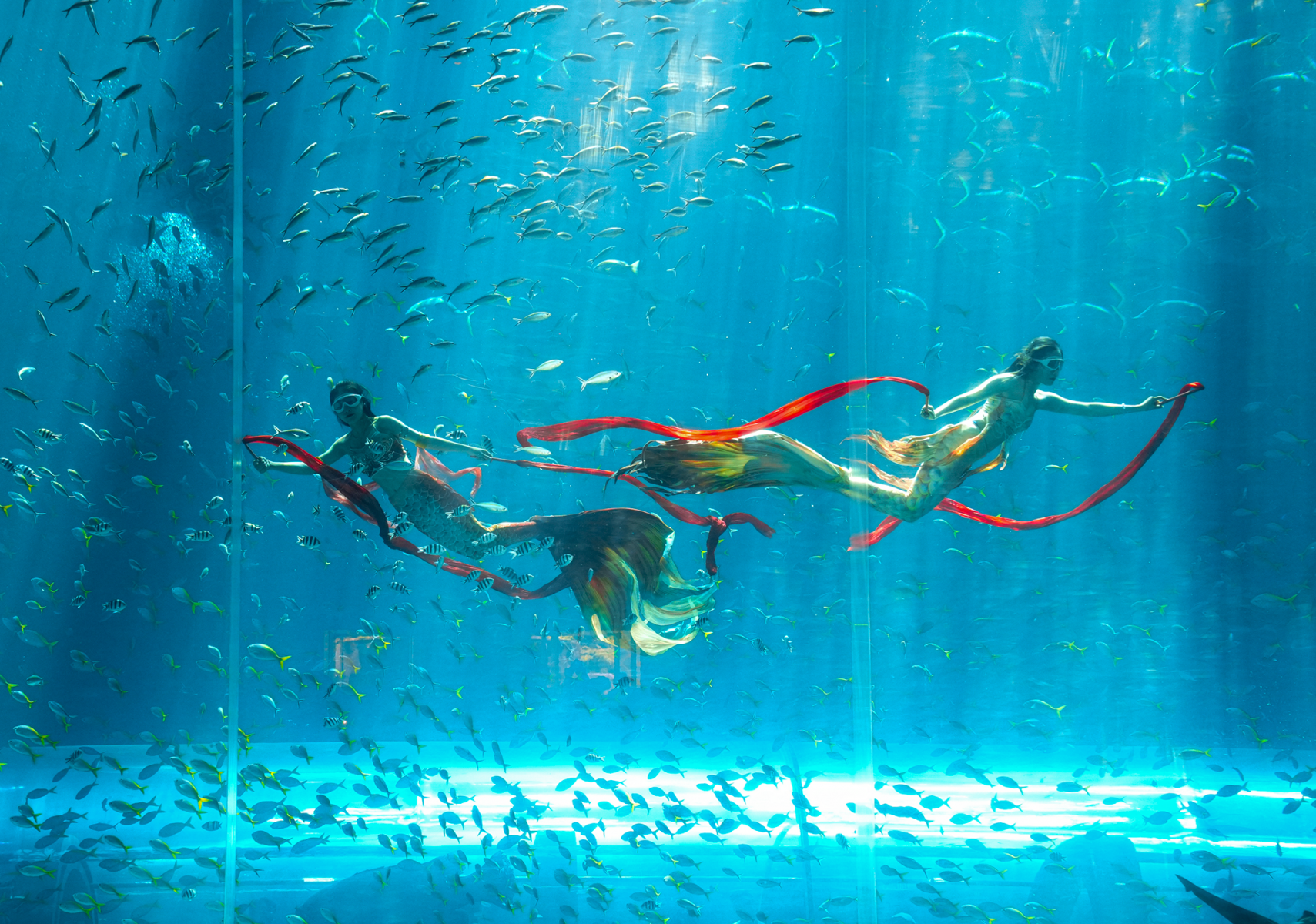 Discover VinWonders & Grand World - 1 day - join group tour